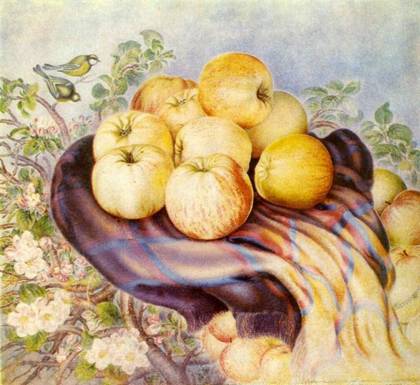 Богданівські яблука (1958-1959)