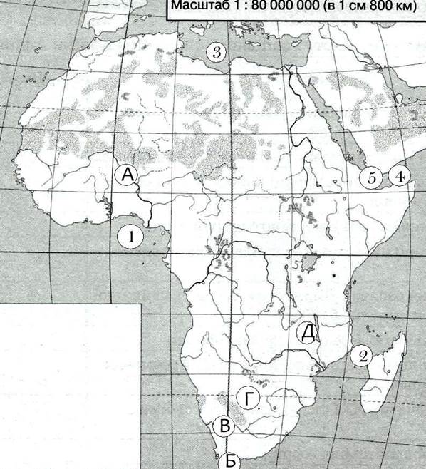 Контрольная по географии 7 класс африка